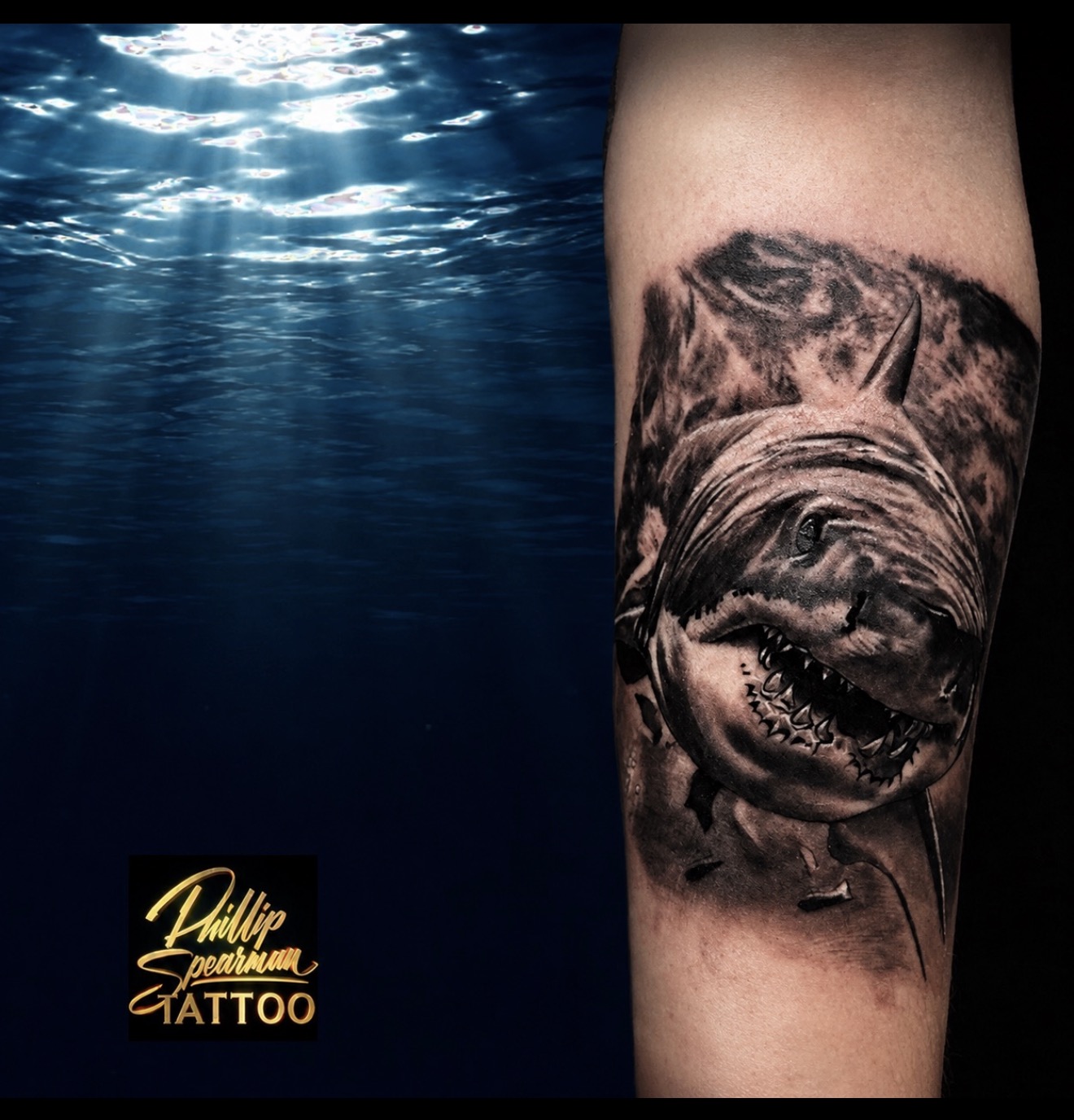 This black and grey great white shark brings the apex predator's relentless power to the arm. Phillip’s detailed work captures the formidable rows of teeth and the fluid muscle lines, depicting its perpetual motion. The depth in the composition, with its textured environment, truly honors the creature's powerful presence.